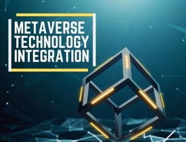 Integration Services