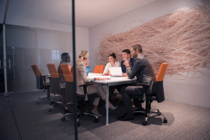 Software development company