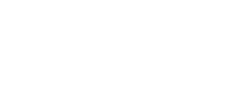 FinT logo