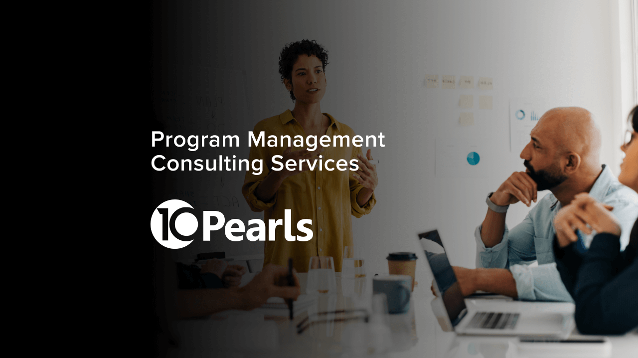 Program Management Consulting Services